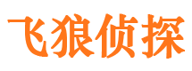 信阳飞狼私家侦探公司